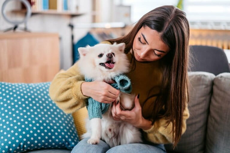 Young girl dressing her dog Young girl dressing her dog