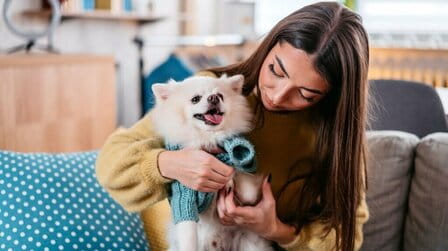Are Sweaters Good For Small Dogs?